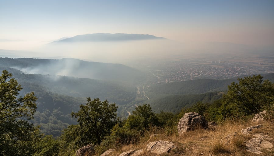 Evergreen trees and rural landscape with distant haze suggesting smoke in the air